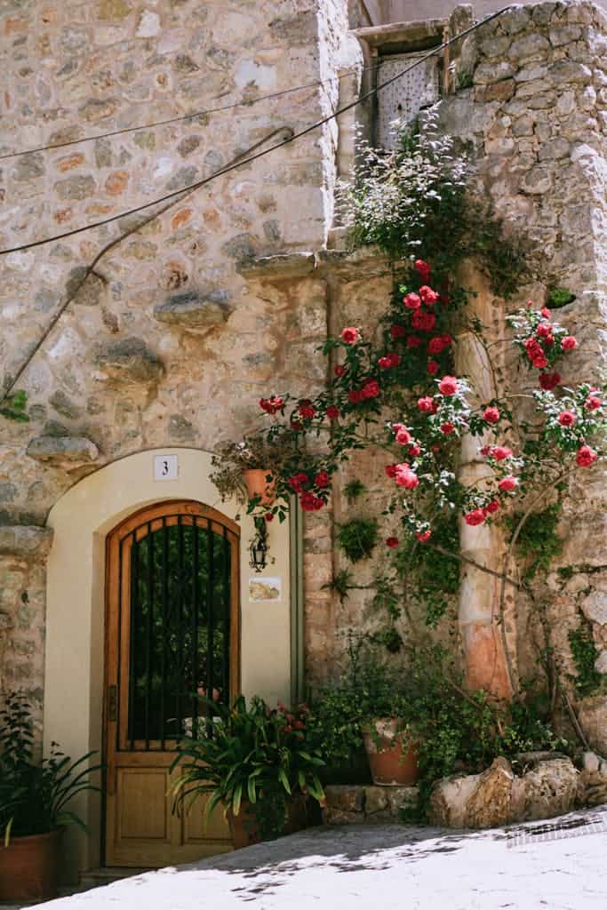 Charming stone house in Valldemossa, Spain adorned with vibrant climbing roses.