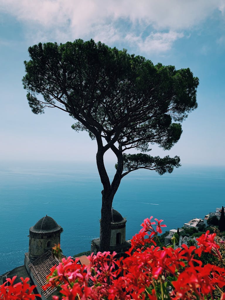 Beautiful view from Ravello, Italy, featuring vibrant flowers and the Mediterranean Sea.
