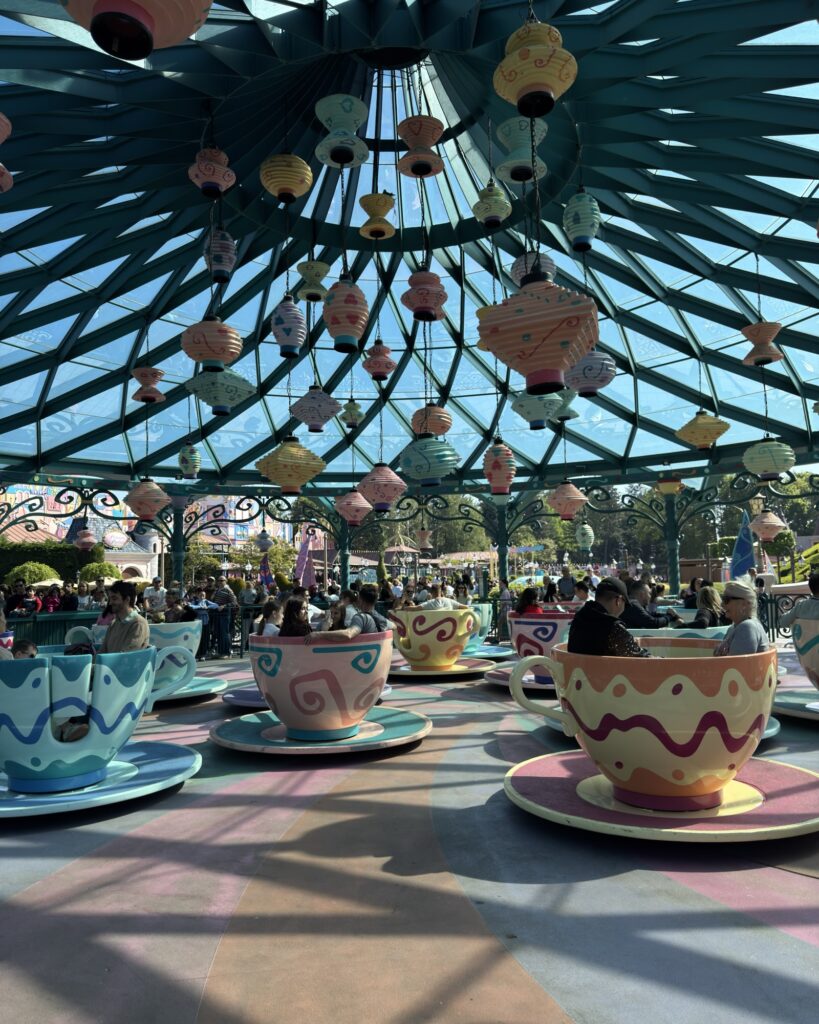 Disneyland Paris Rides
