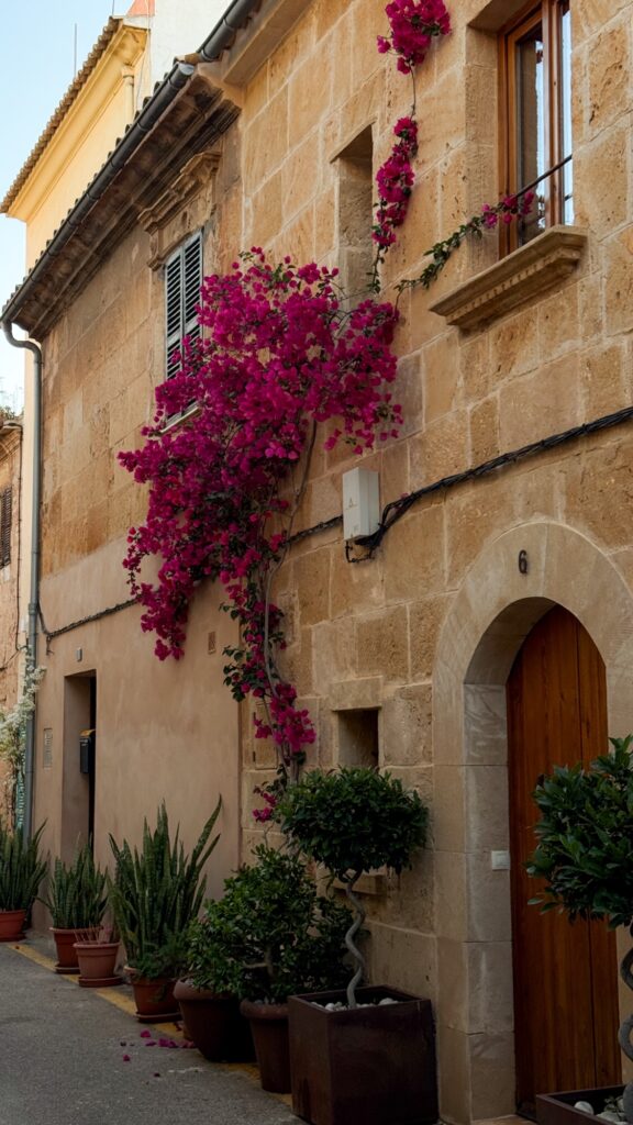 Old Town Alcudia