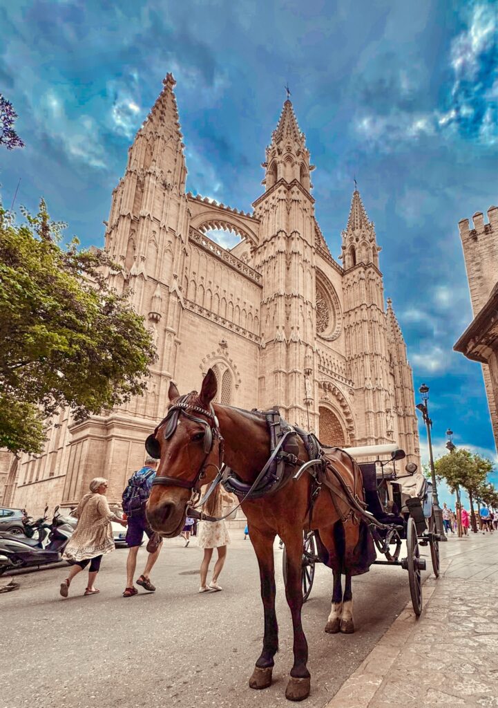 Seu Cathedral Mallorca