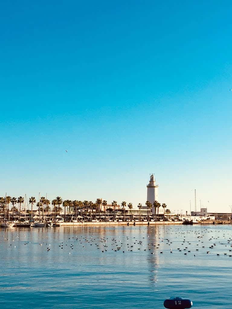 Stunning daytime view of Málaga port with a lighthouse, palm trees, and a clear blue sky.